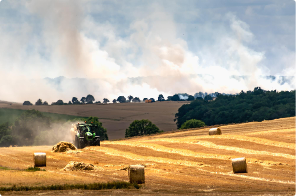 Medio rural - campos agricultura