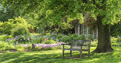 Dataset: Parques, jardines y zonas recreativas naturales