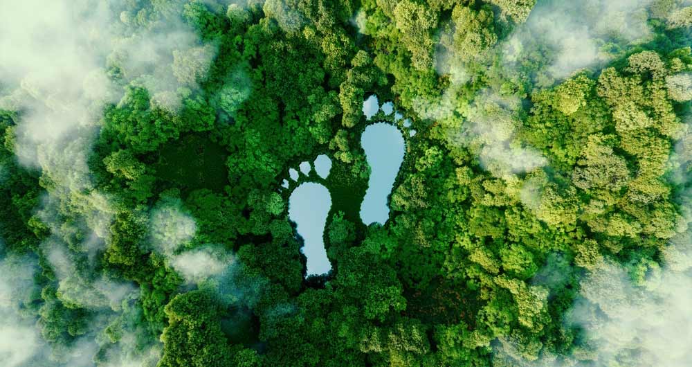 Lake in the shape of a footprint in the forest