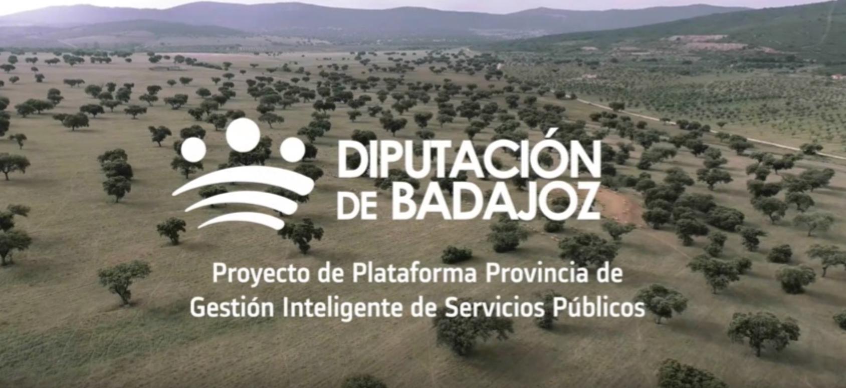 Screenshot of the project