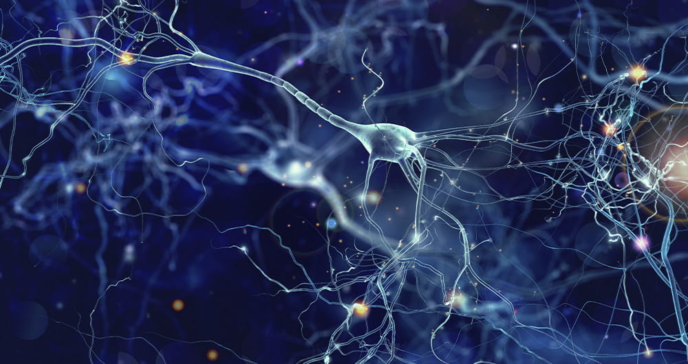 Neuronas