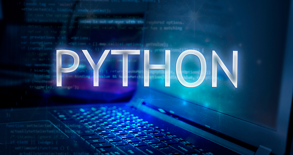 Computer screen with the term python superimposed on it.