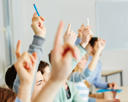 cursos de verano