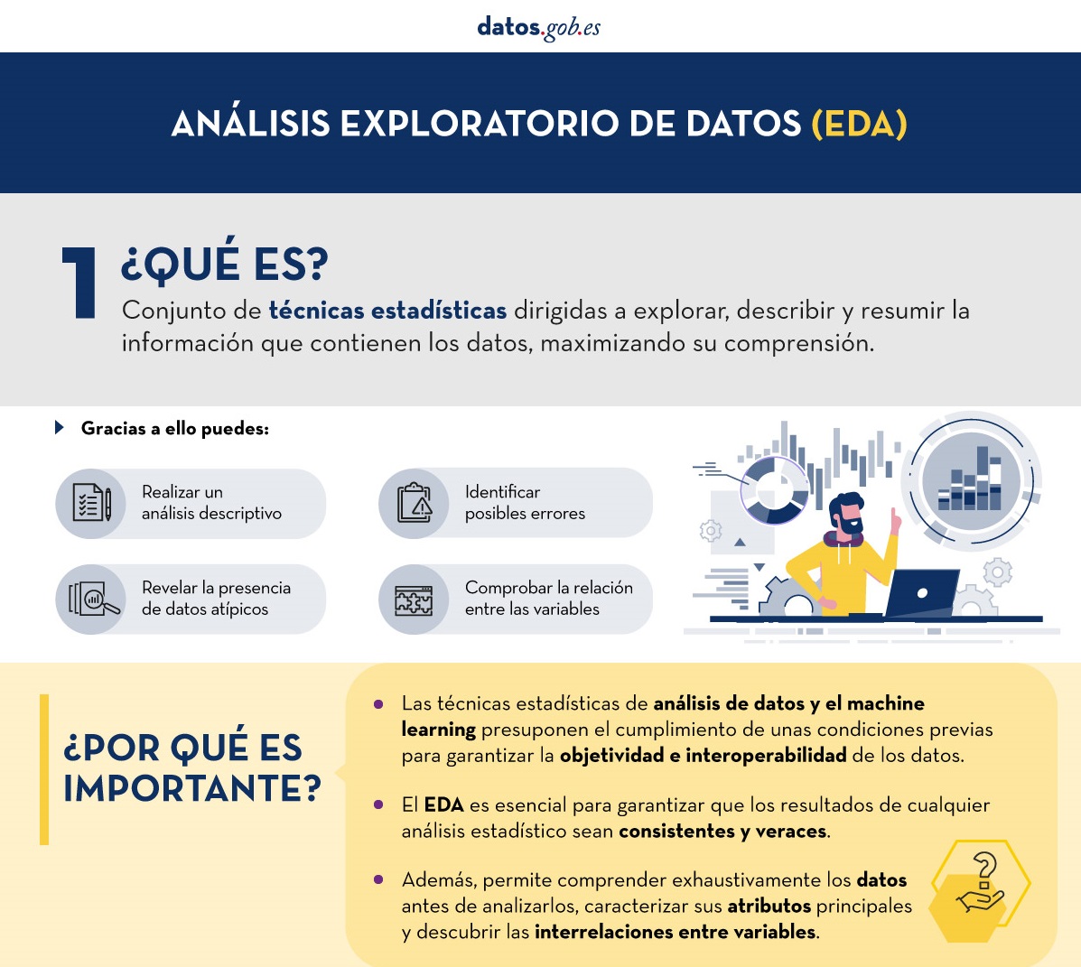 Captura de la infografía sobre Análisis Exploratorio de Datos