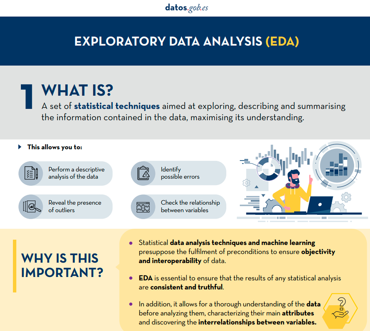 Screenshot of the infographic on Exploratory Data Analysis
