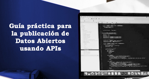 Guía API
