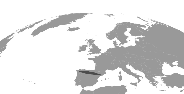 Figura 12: Mapa de las zonas de sombra creadas por el eclipse creado con D3.js. Fuente: elaboración propia -datos.gob.es. 