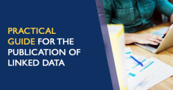 Guidance for publishing linked data in RDF