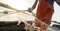 Pescador