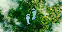 Lake in the shape of a footprint in the forest