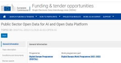 Capture of the website of the grants: "Public Sector Open Data for AI and Open Data Platform"