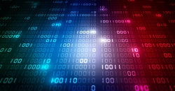 dataset