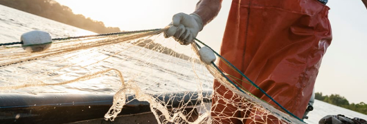 Pescador