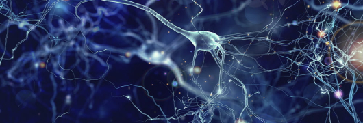 Neuronas
