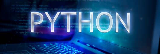 Pantalla de ordenador en la que aparece superpuesto el término python