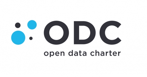 Logo open Data Charter