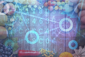 alimentación, food, nutrición, Seguridad alimentaria, food security, FAO