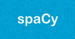 Logo spaCy