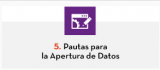 5. Pautas para la Apertura de Datos