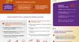 Infografía