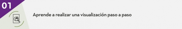 1. Aprende a realizar una visualización paso a paso