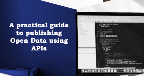 API guide
