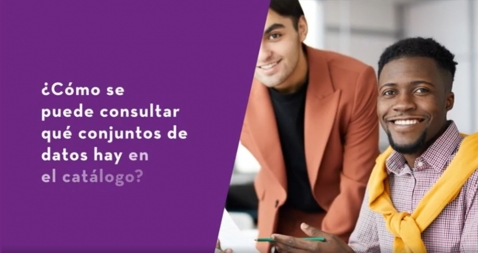 ¿Cómo se puede consultar qué conjuntos de datos hay en el catálogo??
