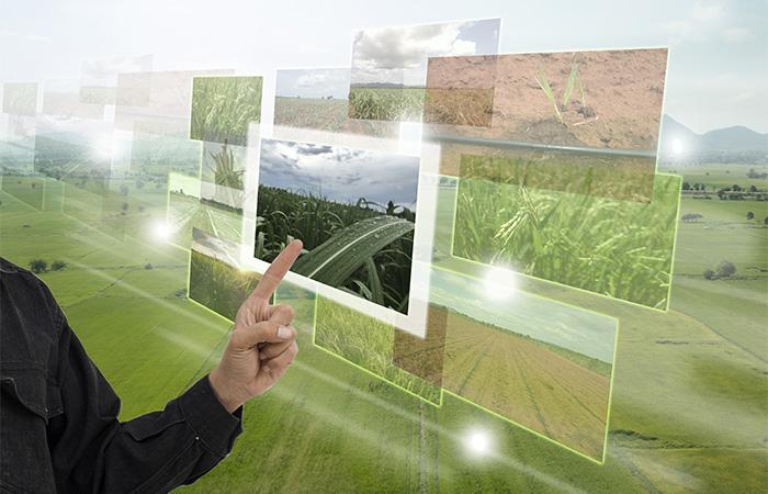 AGROVOC, datos enlazados, open data