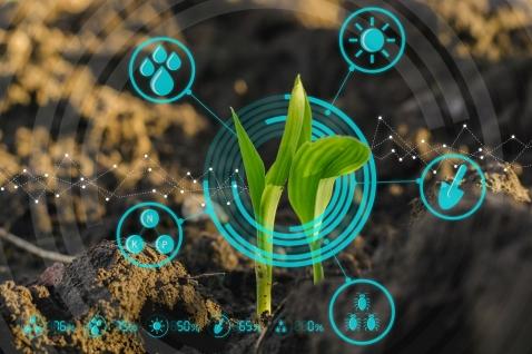 smart agriculture smart agriculture