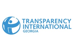 Logo TI Georgia