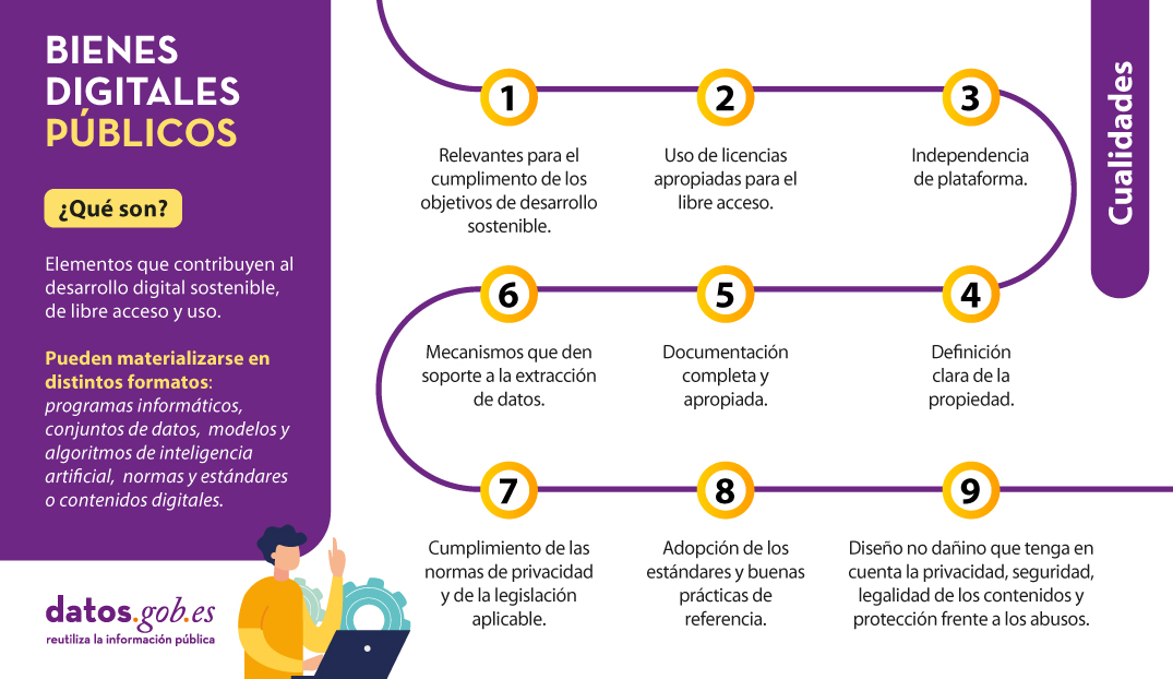 Bienes digitales públicos: visual resumen de los contenidos del post