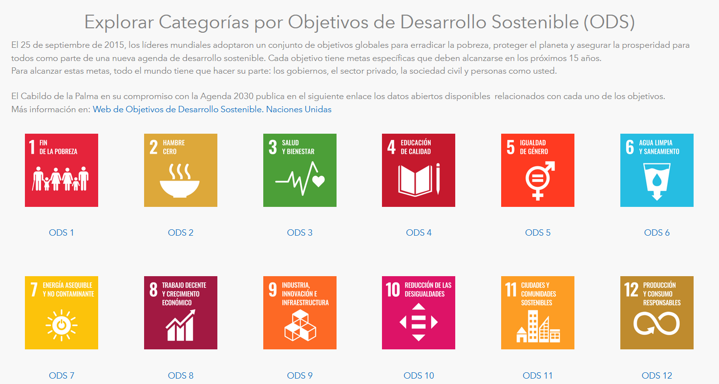 Captura del portal "Open Data La Palma"